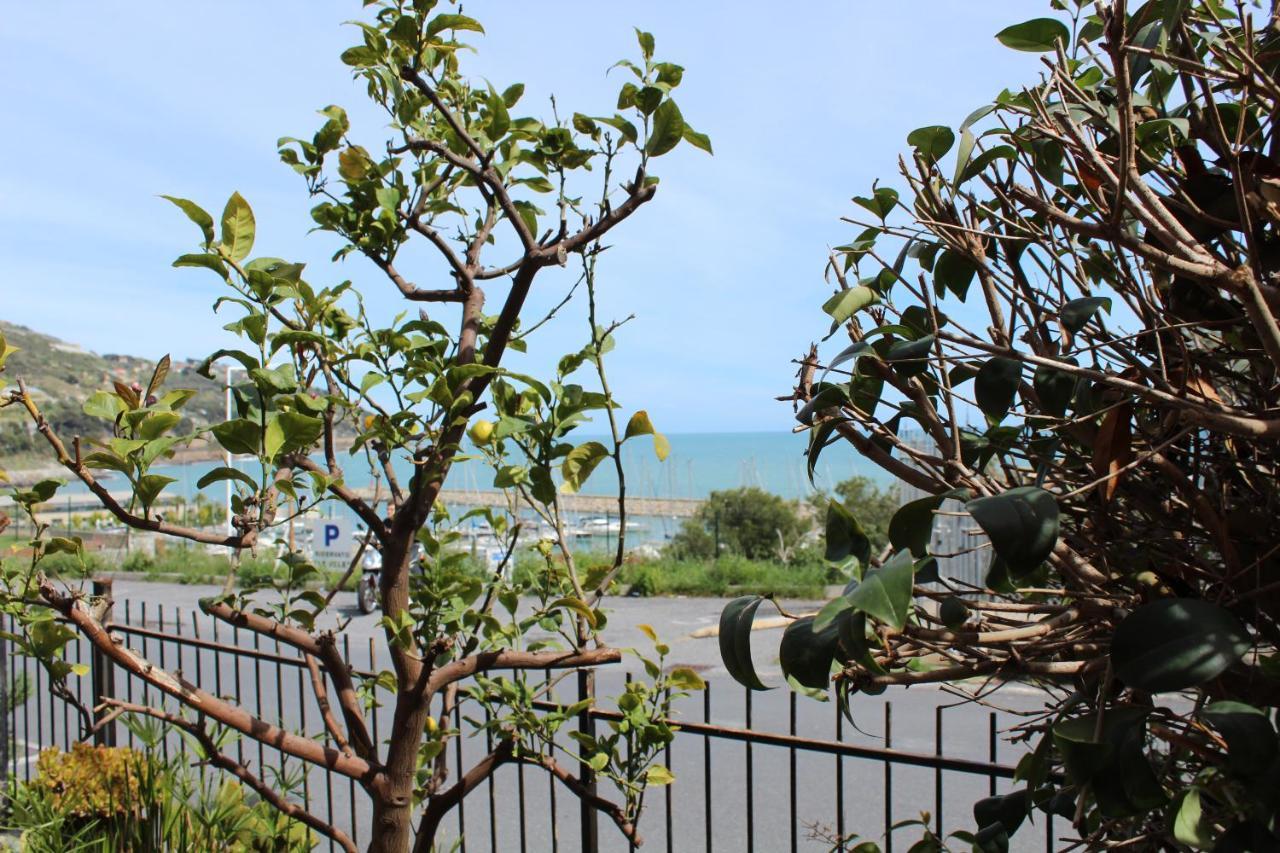 Froggy House Holiday home San Lorenzo al Mare